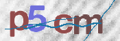 CAPTCHA-Bild